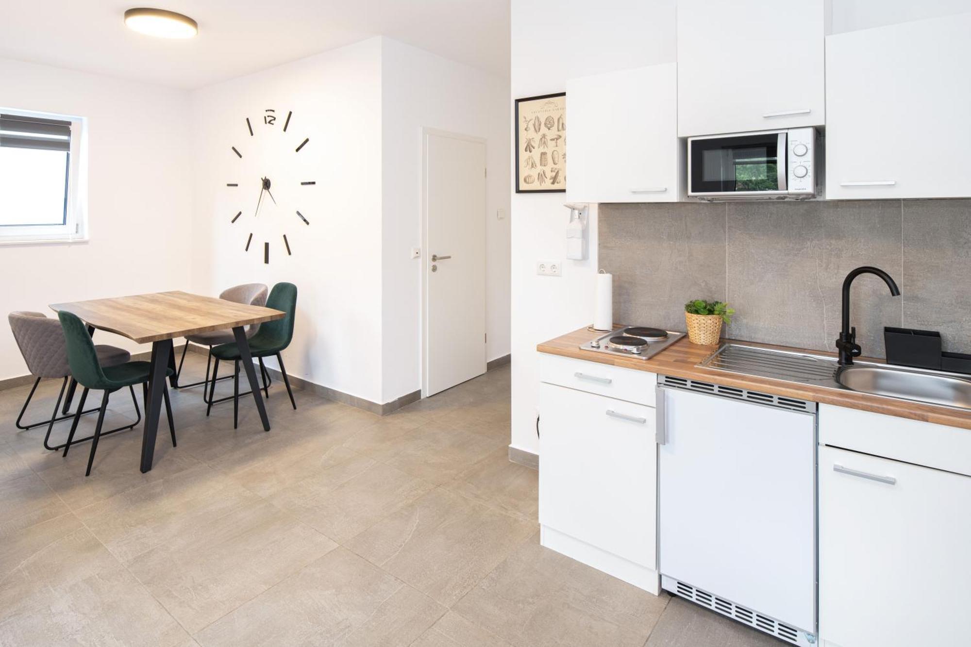 Nibelungen Apartments 보름스 객실 사진